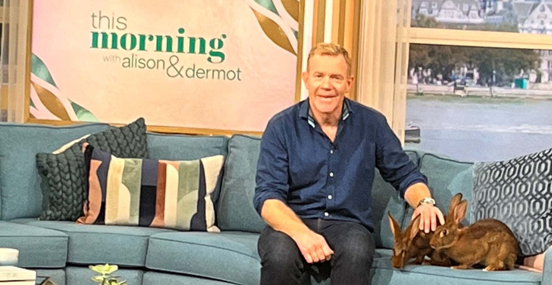 Koy on ITV's This Morning: The Face of BBC's Country File 'Adam Henson' spotted wearing Koy on ITV's This Morning!