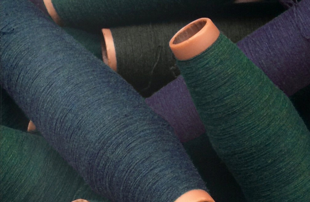 HEALTHY SHEEP = HEALTHY WOOL