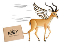 KOY_CLOTHING_400_x_300_px_3.jpg